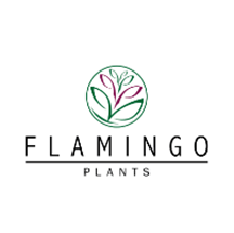 flaminngo logo